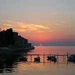 Markovski * 波雷奇